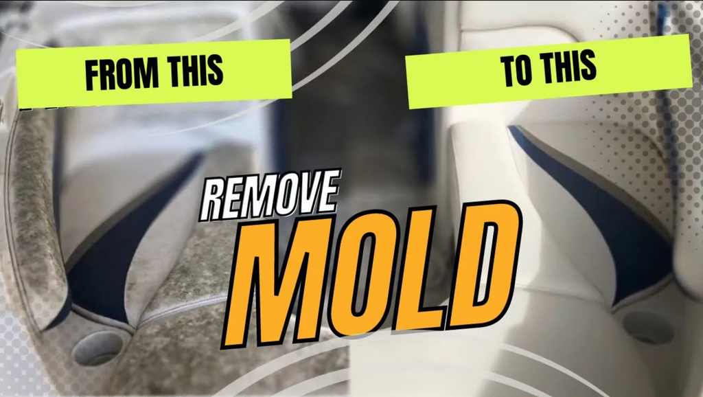 Complete Guide to Eliminating Mold and Mildew: Professional Marine Cleaning for Lasting Results